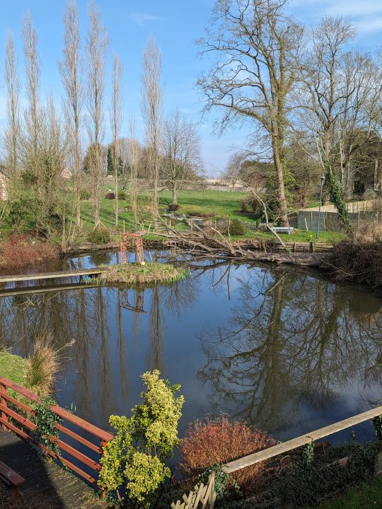 petit étang derrière la maison petit étang derrière la maison